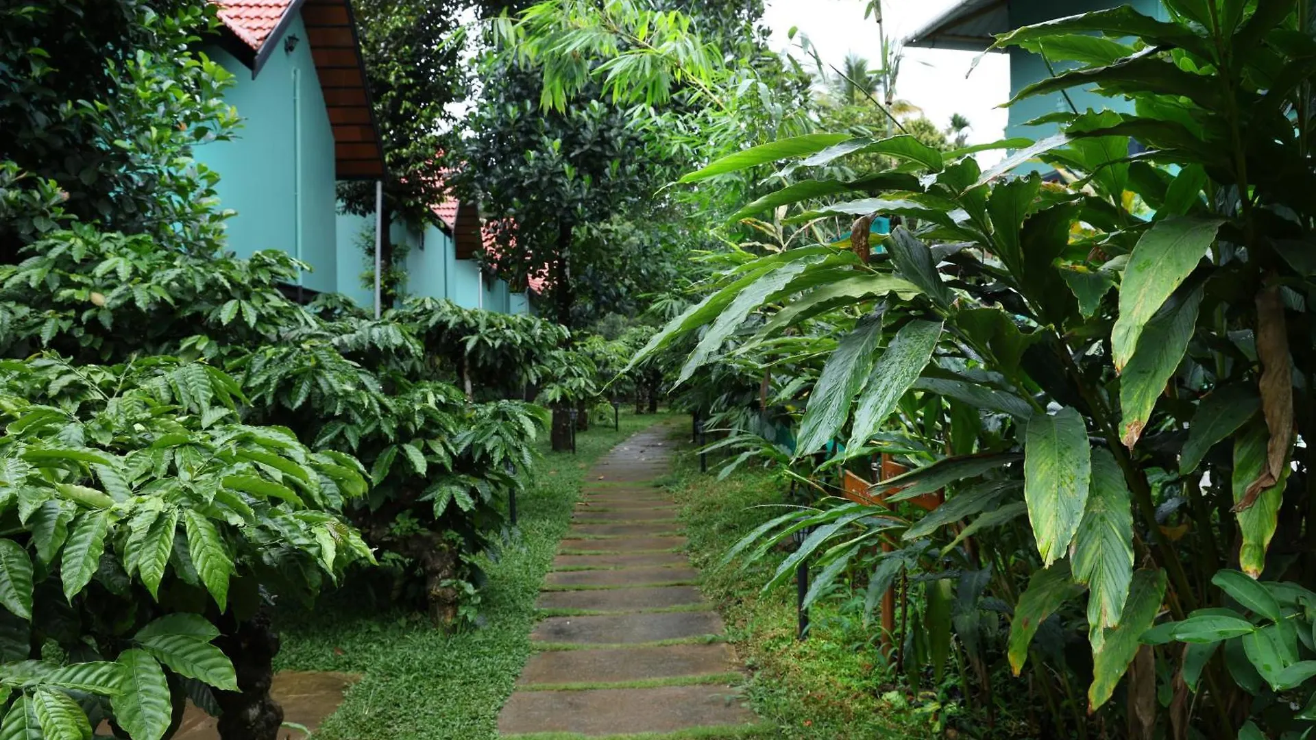 Курортный комплекс Bay View Suites, Vythiri, Ваянад