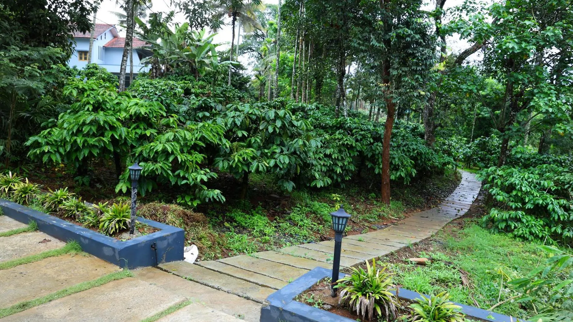 Bay View Suites, Vythiri, Ваянад Курортный комплекс